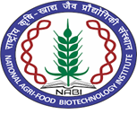Institute