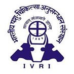 Institute